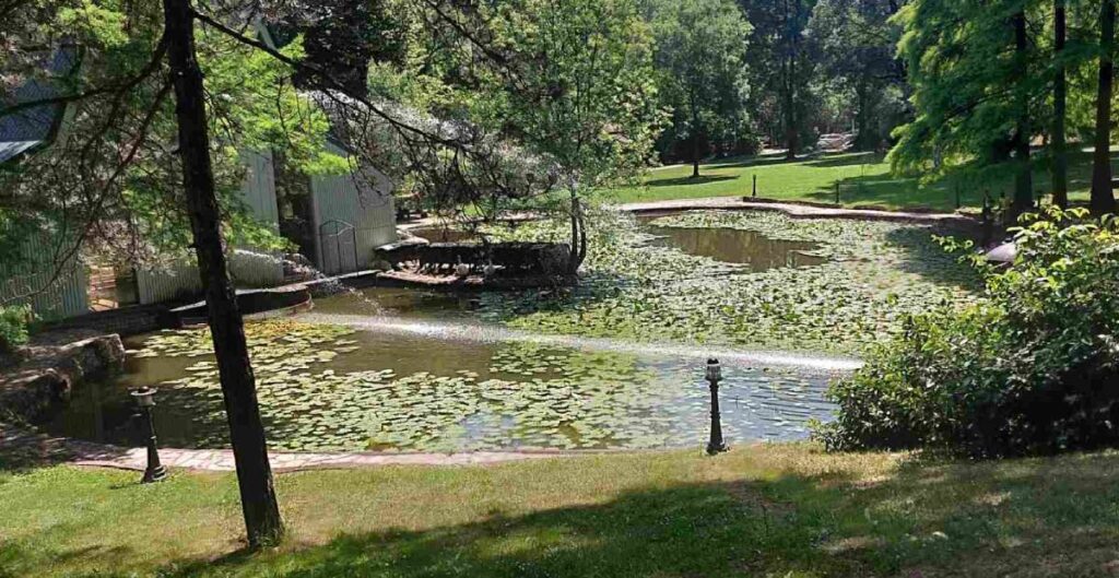 benefiti kupovine nekretnine 2